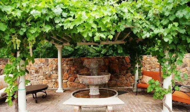 Spanish Villa Inn St. Helena Extérieur photo
